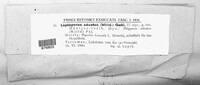 Image Associated With the Occurrence